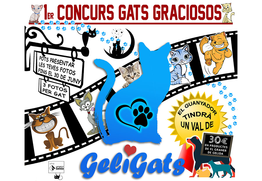 1r Concurs Gats Graciosos